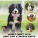 Wahl Premium Dual Level Sensitive Skin Pet Slicker Brush - Buy Online on SooperMarket.com