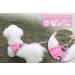 Pet's Playground XS Pink Small Dog Harness for Puppies - UK | Dog Harness for Small Dogs - Buy Online on SooperMarket.com