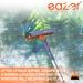 Eazer Professional 2-in-1 Window Squeegee with Extension Pole | Multi-Use Window Cleaner Tool for Window Washing | Multiple Angles for Effective Window Cleaning - Buy Online on SooperMarket.com