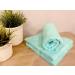 ZOLLNER Set of 6 Mint Green Cotton Small Bath Towels 50x100 cm - Soft & Absorbent Perfect for Home or Travel - Buy Online on SooperMarket.com