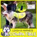 4Legriend Yellow Reflective Safety Vest for Dogs - 2 Pack Small | Keep Your Dog Visible & Safe from Cars & Hunting Accidents - Buy Online on SooperMarket.com