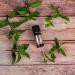 Buy Chin Min Mint Oil 10ml - Soothing Relief & Freshness | International Shipping Available - Buy Online on SooperMarket.com