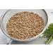 Organic Italian Pearled Farro 1lb - Kosher Vegan Grain | High Fiber | Bulk Pack - Buy Online on SooperMarket.com