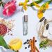 Echo Lake Rollerball Fragrance Oil - Unisex 0.33 oz (10 ml) - Lake & Skye - Buy Online on SooperMarket.com