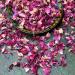 Edible 'Enchanted Forest' Pink Red and Burgundy Rose with Blue Cornflower Dried Flower Petal Mix - 50g - Food Grade - Culinary - Cake - Bake - Decoration (184) Cornflower 50g - Buy Online on SooperMarket.com