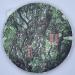 Pu-erh tea 2018 Secret ancient tree 357g Cooked