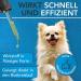 Buy Vitamin B Complex for Dogs 100ml | All B Vitamins Included | Innovative Drops Formula | Made in Germany - Buy Online on SooperMarket.com