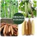 Natural Luffa Body Cloths - Eco-Friendly Biodegradable Shower Scrubs (4 Pack) for Men & Women - Buy Online on SooperMarket.com