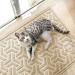 JanYoo Cat Litter Box Mat Kitty Premium PVC Pad Durable Trapping Rug Phthalate Free Urine-Resistant Scatter Control 90 x 60 CM Beige - Buy Online on SooperMarket.com