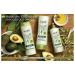Suave Professionals Shampoo with Avocado + Olive Oil | 12.6 oz - Nourishing Hair Care for all Hair Types | International Shipping Available - Buy Online on SooperMarket.com
