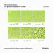 Hemway Ultra-Schein-Glitter Ultrafein 1/128 - Cosmetic Safe Olivgr n Olive Green 100g | International Shipping - Buy Online on SooperMarket.com