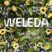 Weleda Sport Arnica Shower Gel 6.8 fl oz - Plant Rich Cleanser with Arnica, Rosemary & Lavender - Buy Online on SooperMarket.com