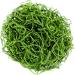 SuperMoss 26912 Preserved Spanish Moss 8oz - Natural Grass for Crafts and Decor - Buy Online on SooperMarket.com