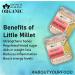 Blessfull Healing Organice Little Millet 2 lb (907 Gram) - Buy Online on SooperMarket.com