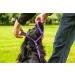 Shop Gencon Halfter - Premium Quality Horse Halters | International Shipping Available - Buy Online on SooperMarket.com