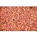 Hunza Organic Light Red Kidney Beans (2 lbs) 2 Pound (Pack of 1) - Buy Online on SooperMarket.com