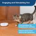 PetSafe Laser Tail Automatic Laser Light Interactive Playtime For Cats Moving Cat Toy White - Buy Online on SooperMarket.com