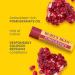 Burts Bees Trio Tin Gift Set - 100% Natural Beeswax & Flavored Lip Balms | International Shipping - Buy Online on SooperMarket.com