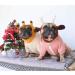 iChoue French Bulldog Frenchie Hoodie for Small Dogs - Pink Sweater Clothing for Pug, Boston Terrier, Bully, Pitbull, Corgi - Puppy Apparel - Buy Online on SooperMarket.com