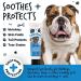BUGALUGS Wrinkle paste for Bulldogs French Bulldogs wrinkly dogs & cats. For itchy wrinkle folds tear stains & tail pockets anti-itch & itchy dog skin relief. Great itch remedies for dogs 75g - Buy Online on SooperMarket.com