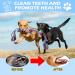 Aitmexcn Indestructible Dog Rope Toy - 37 Inch Tough 5 Knots Chew Toy for Large and Medium Dogs - Buy Online on SooperMarket.com