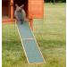 TRIXIE Natura Weatherproof Ramp for Cages/Stables - 20.50 x 1.8 cm - Buy Online on SooperMarket.com