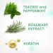 SoCozy Boo! Lice Scaring Spray (Travel Size) | Tea Tree, Rosemary & Peppermint Oils | 2.7 fl oz | No Parabens/Sulfates | For Kids - Buy Online on SooperMarket.com