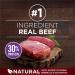Purina ONE True Instinct High Protein Dry Dog Food Beef & Bison - 6.8 kg Bag & Tender Cuts True Instinct Wet Dog Food in Gravy Variety Pack 2 Flavours - 368 g Can (6 Pack) - Buy Online on SooperMarket.com