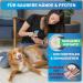 Buy Bluepet Pfotenbalsam Dog Stick Ultimate Care for Stressed Paws & Noses | Relieves Protects & Maintains Year-Round - Buy Online on SooperMarket.com