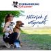 Schwenner Beef Jerky for Dogs - Delicious 1000g Chew Sticks | Premium Dried Meat Treats for Dogs - Buy Online on SooperMarket.com