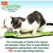 Hartz Cattraction Cat Toys with Silver Vine and Catnip - Lively Play for Cats & Kittens | Multiple Styles - Kitty Frenzy - Buy Online on SooperMarket.com