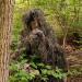 VIVO Ghillie Suit - Adult/Youth Sizes, Dry Grass/Leaf/Woodland Camo, XL/XXL - Woodland Design - Buy Online on SooperMarket.com