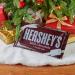 Hershey's Milk Chocolate Candy 1 lb Gift Bar | Gluten Free | Giant Hershey's 1lb Bar - Buy Online on SooperMarket.com