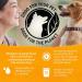 Purina Beyond Grain Free Wet Dog Food - Chicken, Carrot & Pea - 12 Cans (13 oz) - Natural Adult Entree - Buy Online on SooperMarket.com
