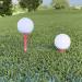 GoSports XL Golf Tees - 200 Player's Pack - 3.25 Inch Premium Wooden Tees - Choose Pink Tee Color - Buy Online on SooperMarket.com