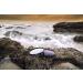 Hoya 77mm NXT Plus Circular Polarizer Filter - Slim Frame Glass Filter - Buy Online on SooperMarket.com