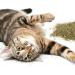 SmartyKat Catnip & Silvervine Blend - 0.5 oz Resealable Pouch for Cats & Kittens - Buy Online on SooperMarket.com