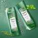 Suave Revitalizing Rosemary + Mint Conditioner - Paraben Free 12.6 oz | Nourish & Refresh Hair - Buy Online on SooperMarket.com