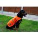4Legriend Dogs Security Vest - High Visibility Blaze Orange (Large) for Outdoor Safety | 5 Sizes Available - Protect Your Dog Day and Night - Buy Online on SooperMarket.com