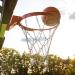 Franklin Sports Basketball Nets: Durable and Reliable Nets for Hoops Enthusiasts - Buy Online on SooperMarket.com