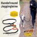 Premium Elastic-Free Jogging Leash for Large Dogs | 120-170 cm Adjustable | Orange | Comfortable Belly Belt & Removable Soft Loops - Buy Online on SooperMarket.com