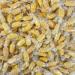 Personalized Customise With Your Own Message 300g Bag of Sweets Peanuts - Buy Online on SooperMarket.com