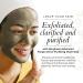 Borghese Advanced Fango Active Purifying Mud Mask - 2.7 Oz - Buy Online on SooperMarket.com