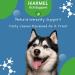 Doggy Dailies Probiotics for Dogs - Canine Supplements for Digestive and Immunity Support - Skin Health and Itch Support - Vitamin Treats - Veterinarian Formulated Probiotic 180 Count (Pack of 1) - Buy Online on SooperMarket.com
