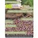 Buy Organic Heather Flower Tea (100g) - Direct & Friendly International Shipping - Buy Online on SooperMarket.com