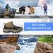 Bluever Ice Klampen Crampons - 32 Stainless Steel Spikes for Mountain Shoes | Ideal for Hiking Trekking Climbing & Winter Activities | XL Size Available - Buy Online on SooperMarket.com