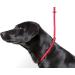 Durable Dog & Field Deluxe Gundog Slip Lead - Super Soft Braided Nylon for All Breeds - One Size, 4 Color Options (Red) - Buy Online on SooperMarket.com