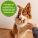 USDA Certified Organic Paw Rescue/Balm - Natural Solution for Pet Paw Care - Buy Online on SooperMarket.com