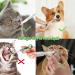 Pet Medicine Feeder Kit - Syringe, Pill Gun, Cutter | Easy Medication Dispenser for Cats & Dogs - Buy Online on SooperMarket.com