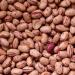 Suntat Pinto Beans (Dried) - 1 kg Pack | Premium Quality International Shipping - Buy Online on SooperMarket.com